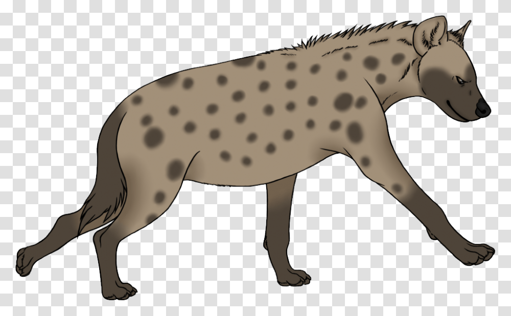 Hyena, Animals, Cheetah, Wildlife, Mammal Transparent Png