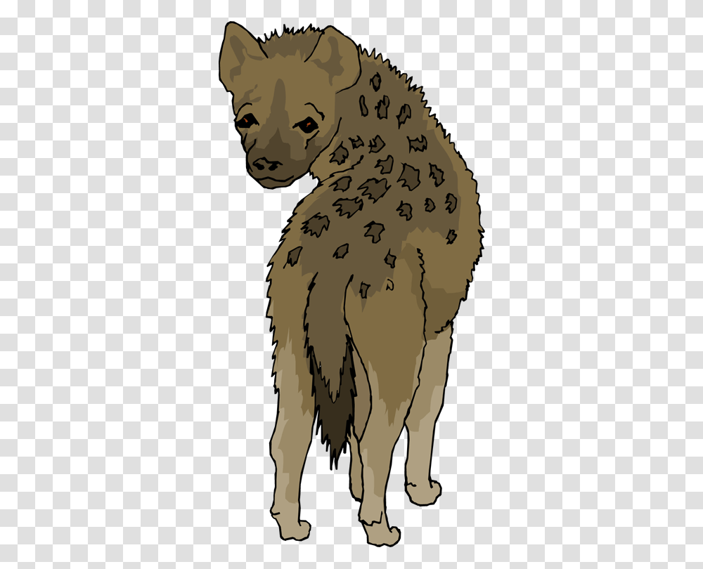 Hyena, Animals, Mammal, Bird, Pet Transparent Png
