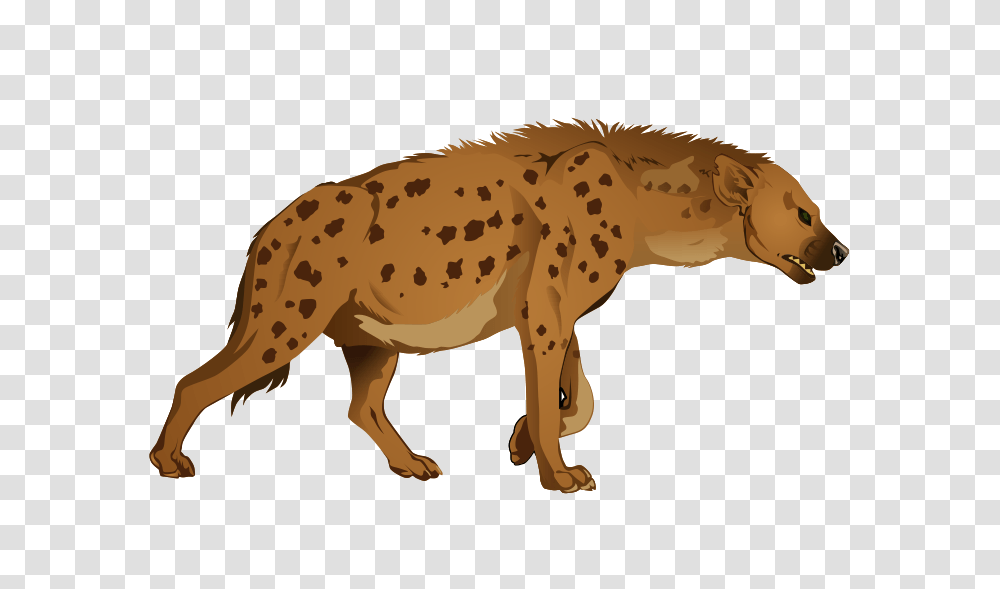 Hyena, Animals, Wildlife, Mammal, Cheetah Transparent Png