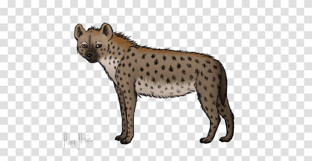 Hyena, Animals, Wildlife, Mammal, Zebra Transparent Png