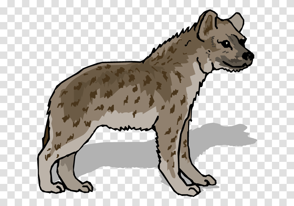 Hyena Art Photo, Mammal, Animal, Wildlife, Coyote Transparent Png