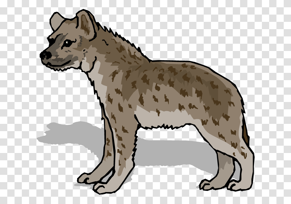 Hyena Clipart, Animal, Mammal, Wildlife, Zebra Transparent Png
