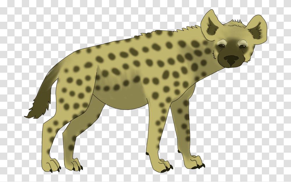 Hyena Clipart Spotted Hyena, Wildlife, Animal, Mammal, Cheetah Transparent Png