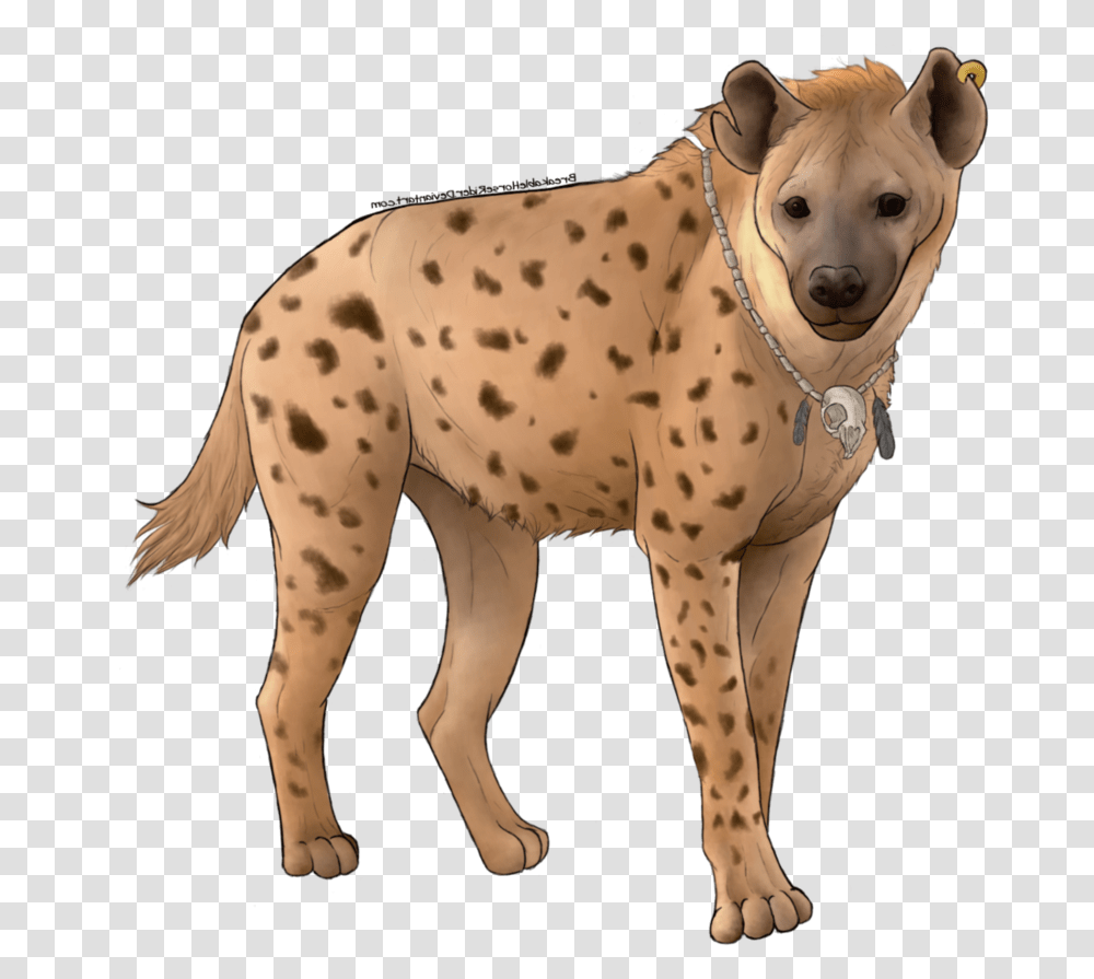 Hyena Free Images Spotted Hyena, Animal, Mammal, Pet, Canine Transparent Png