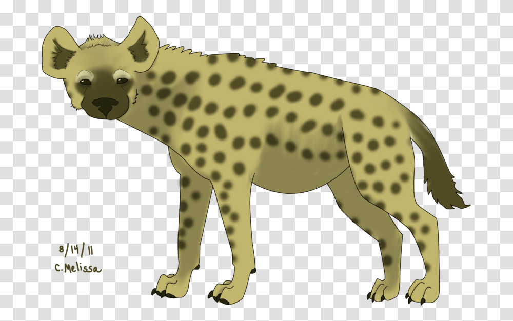 Hyena Hyena, Wildlife, Animal, Mammal, Cheetah Transparent Png