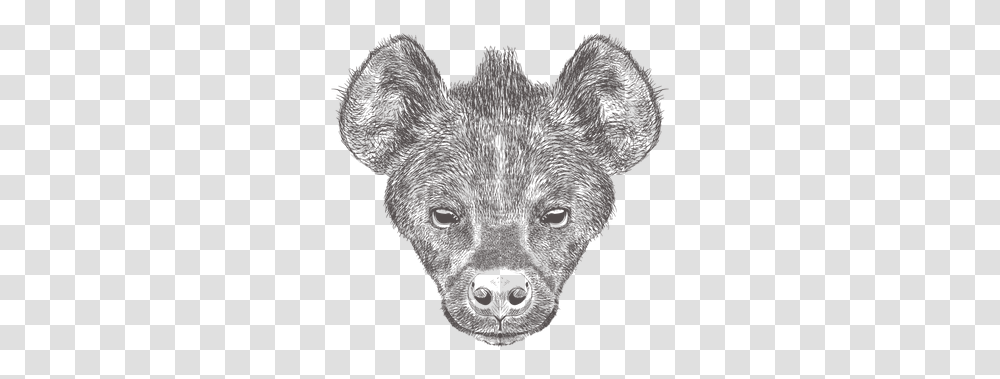 Hyena Illustration Sketch, Mammal, Animal, Silhouette, Stencil Transparent Png