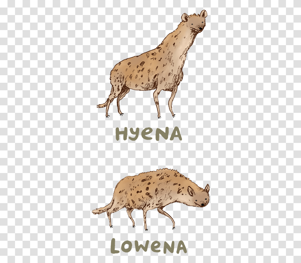 Hyena Lowena, Mammal, Animal, Deer, Wildlife Transparent Png