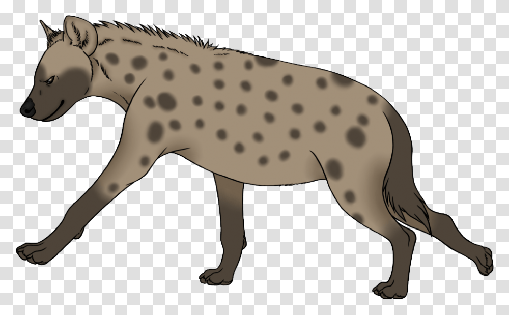 Hyena Photo Background, Cheetah, Wildlife, Mammal, Animal Transparent Png