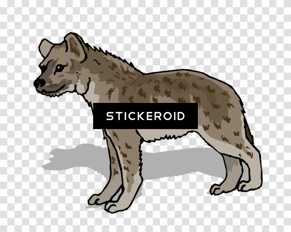 Hyena, Wildlife, Animal, Mammal, Lynx Transparent Png