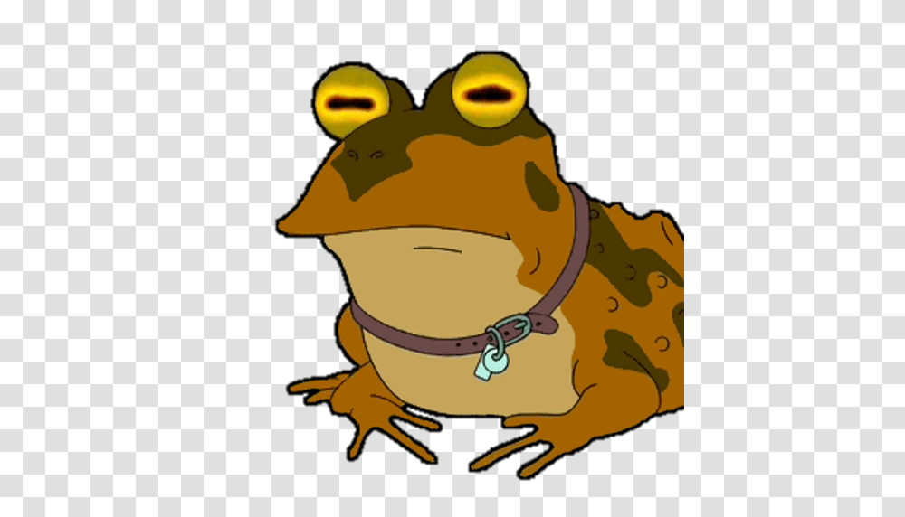 Hypnotoad Live Wallpaper Appstore For Android, Wildlife, Animal, Amphibian, Frog Transparent Png