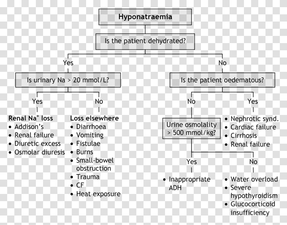 Hyponatraemia Causes, Plan, Plot, Diagram Transparent Png
