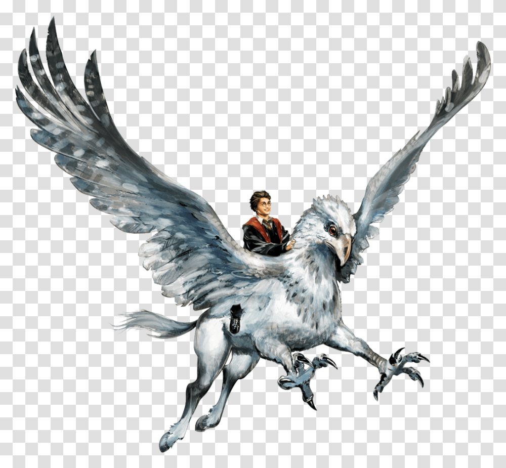 Hyppogriff Clipart Harry Potter Hippogriff, Bird, Animal, Person, Human Transparent Png