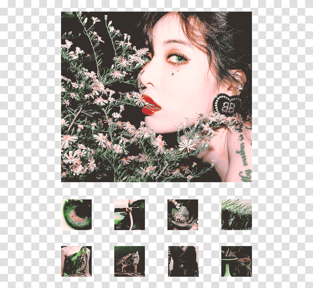 Hyuna Flower Shower, Person, Plant, Tree, Lace Transparent Png