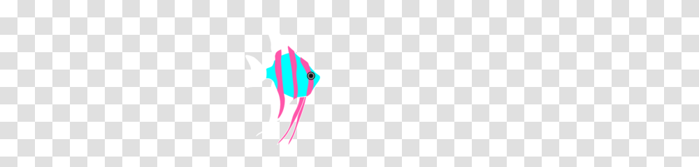 Hzo Angel Fish White Clip Art, Sea Life, Animal, Angelfish, Person Transparent Png