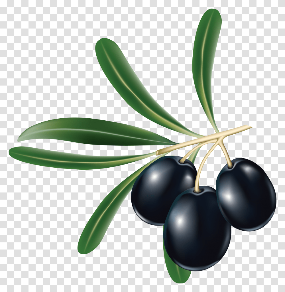 I 530106879 Olives Background Olive Clipart, Plant, Tree, Fruit, Food Transparent Png