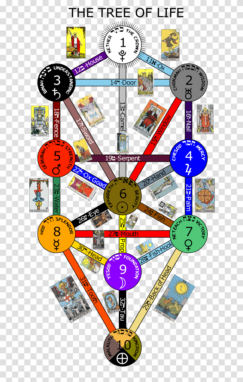 I Am A Fool Tom I've No Doubt About That Tarot Cards Kabbalah Tree Of Life Poster, Text, Flyer, Paper, Advertisement Transparent Png