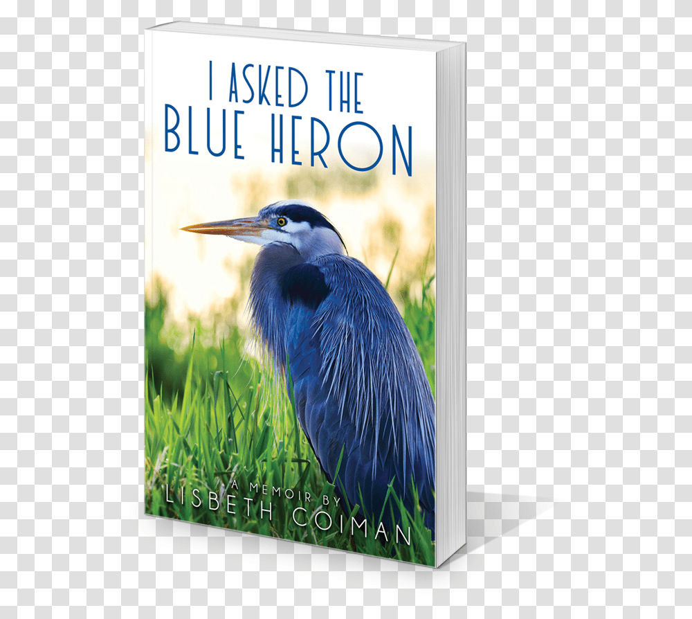 I Asked The Blue Heron A Memoir, Bird, Animal, Waterfowl, Ardeidae Transparent Png