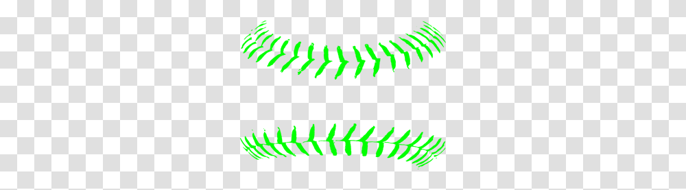 I Believe Softball Clip Arts For Web, Green, Plant, Lighting Transparent Png