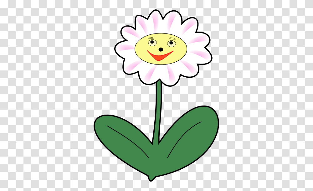 I Cant Get Off To Real Flowers Anymore, Plant, Blossom, Daisy, Daisies Transparent Png