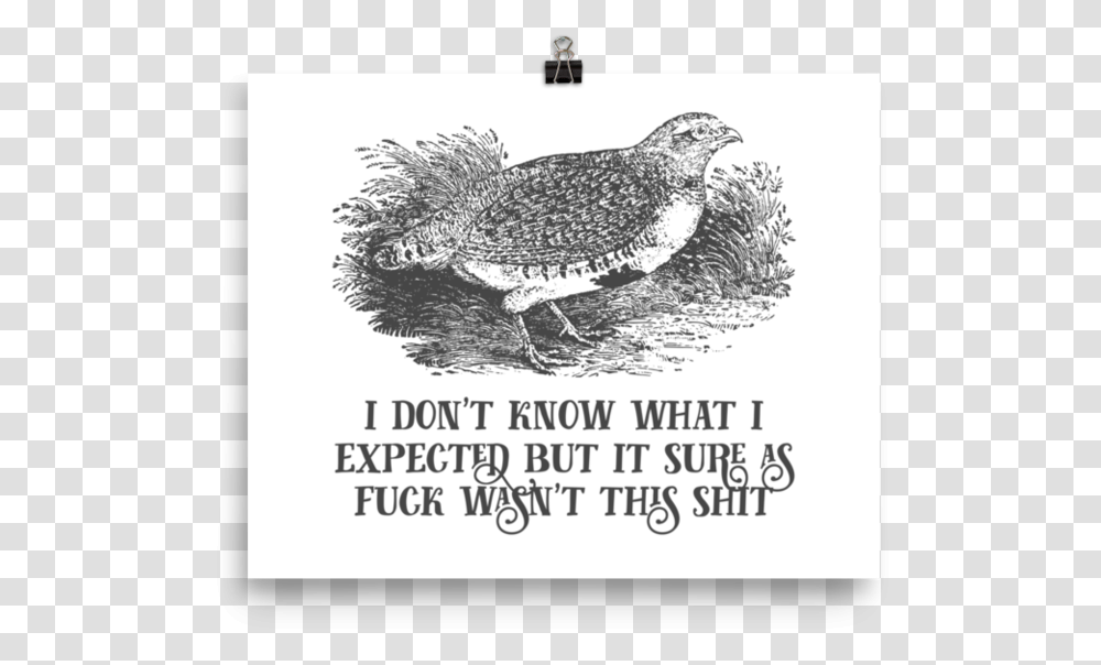 I Don't Know What I Expected But It Sure As Fuck Wasn Ruffed Grouse, Fish, Animal, Poster, Advertisement Transparent Png