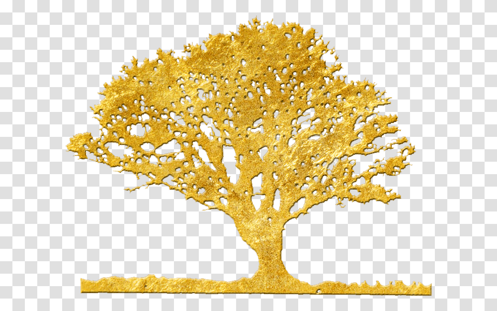 I Finished My Spanish Thanks You Argan Gold On Trees, Nature, Panther, Wildlife, Mammal Transparent Png