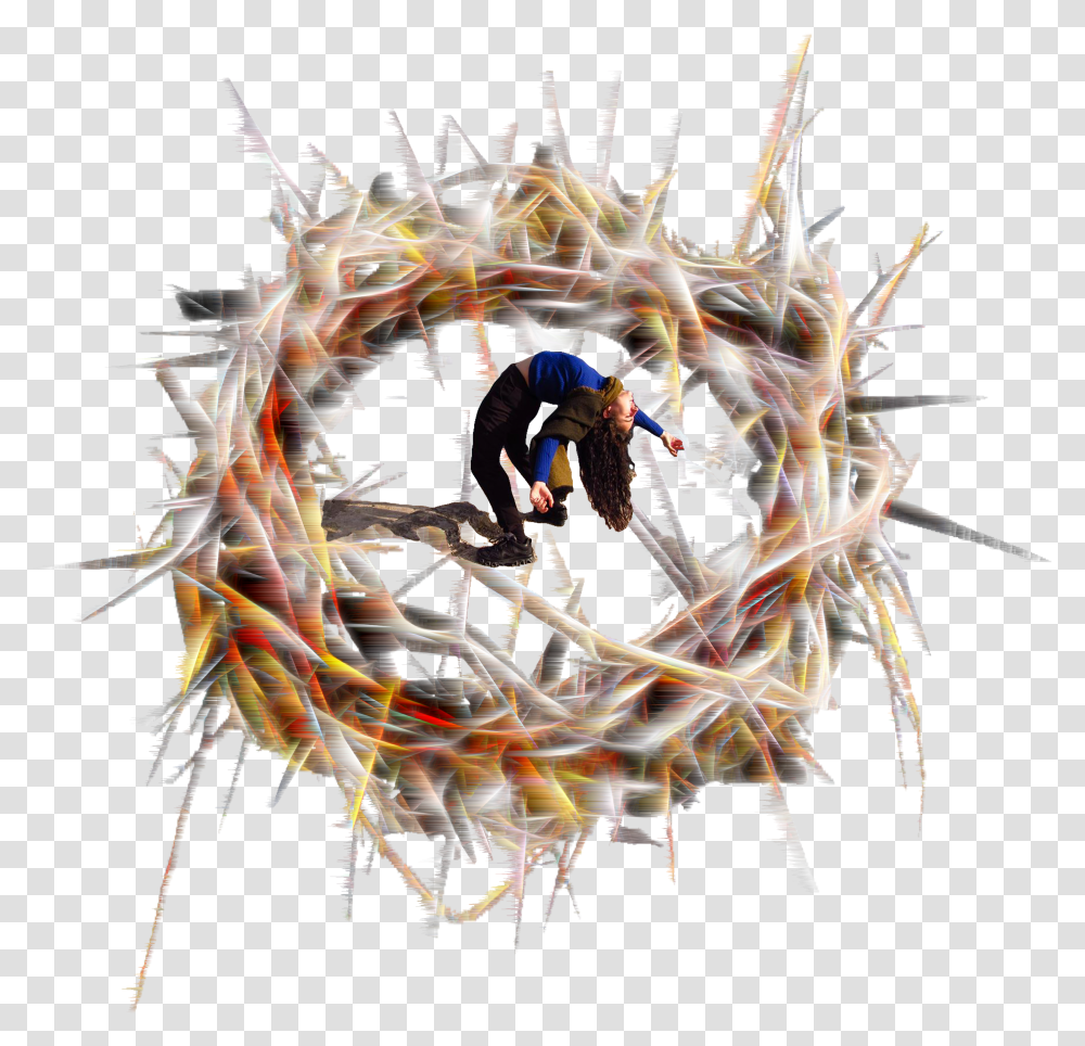 I Happened Upon A Crown Of Thorns Myna Arctic Tern Transparent Png