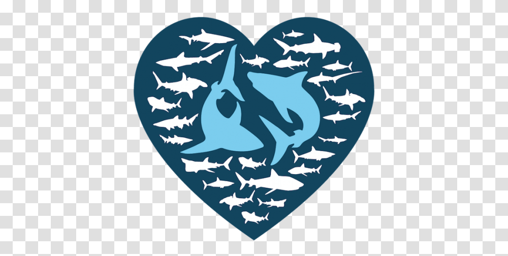 I Love Sharks Selfie Challenge Save Our Nl Shark Love Sharks, Plectrum, Rug, Armor Transparent Png