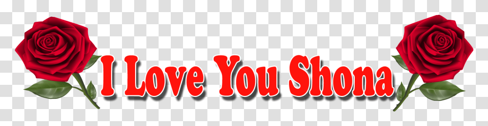 I Love You Shona Red Rose, Logo, Word Transparent Png