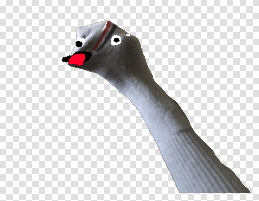 I Made The Sock Puppet In Goose, Animal, Bird, Beak, Outdoors Transparent Png
