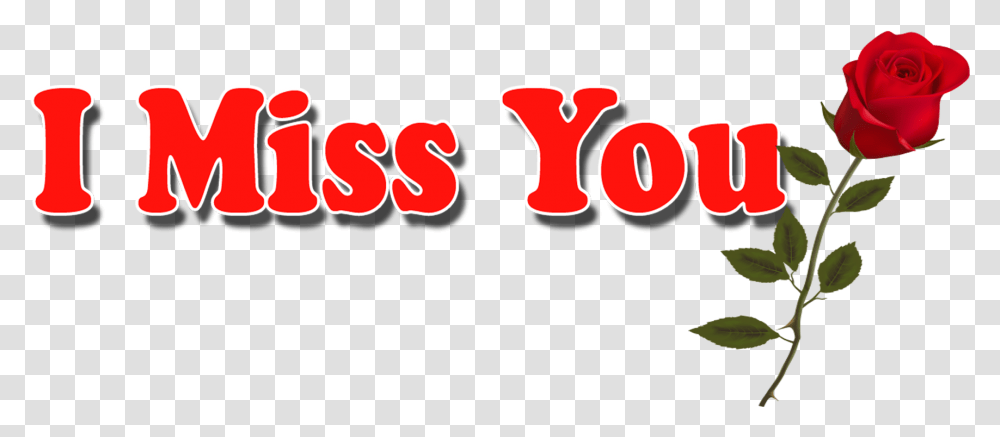 I Miss You Hd Pics Miss You Text, Alphabet, Number, Word Transparent Png