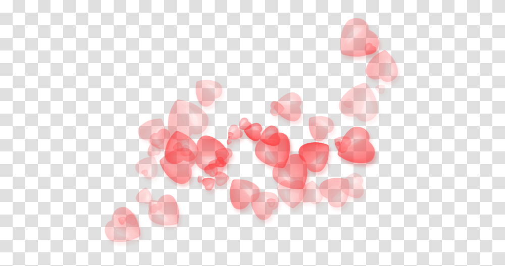 I, Plant, Petal, Flower, Blossom Transparent Png