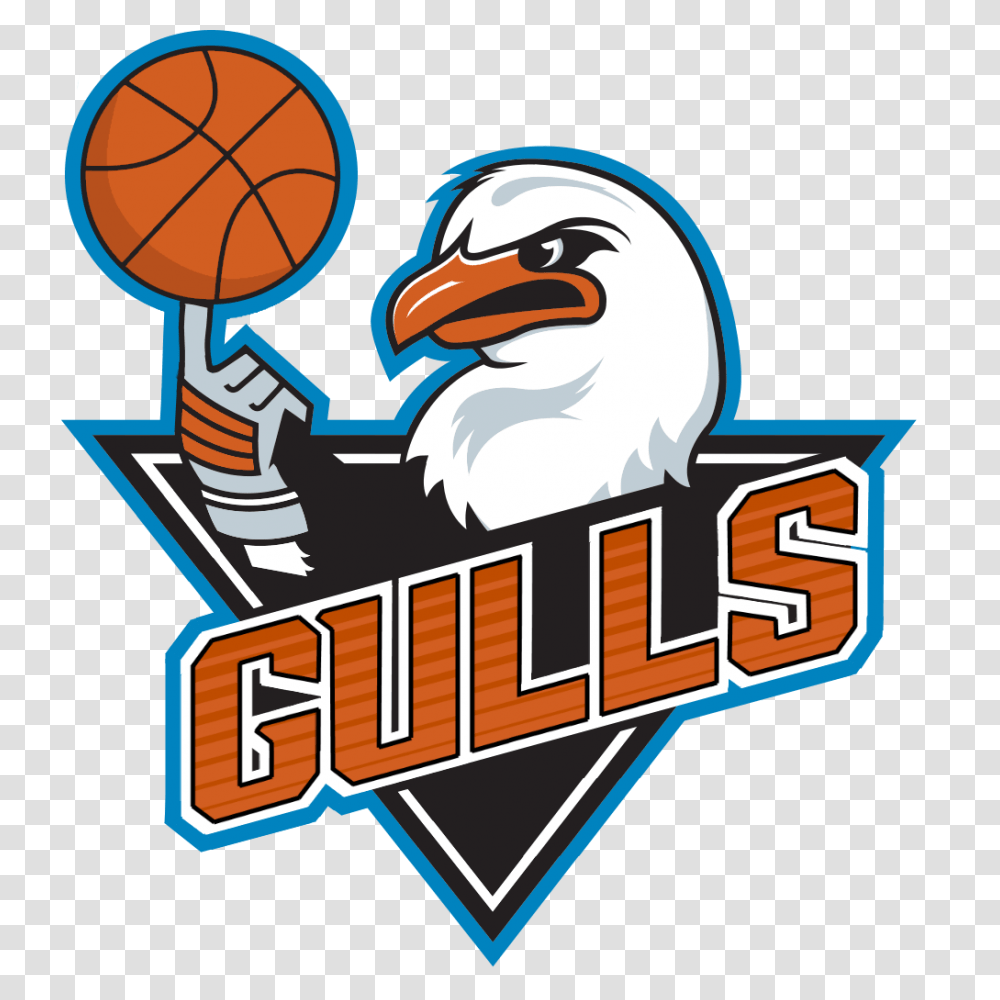 I Stole The Gulls Logo And Reworked It For My Nba Mygm Team, Bird, Animal Transparent Png