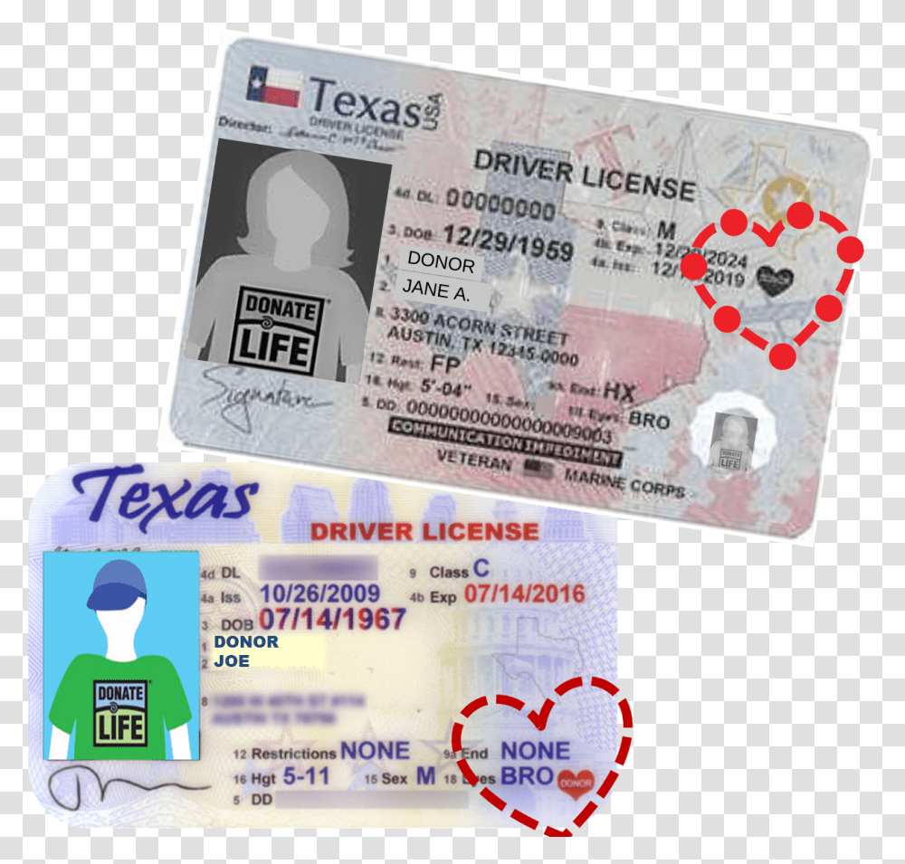 I Want Don't The Heart Texas Donor Registry Texas Organ Donor License, Text, Driving License, Document, Passport Transparent Png