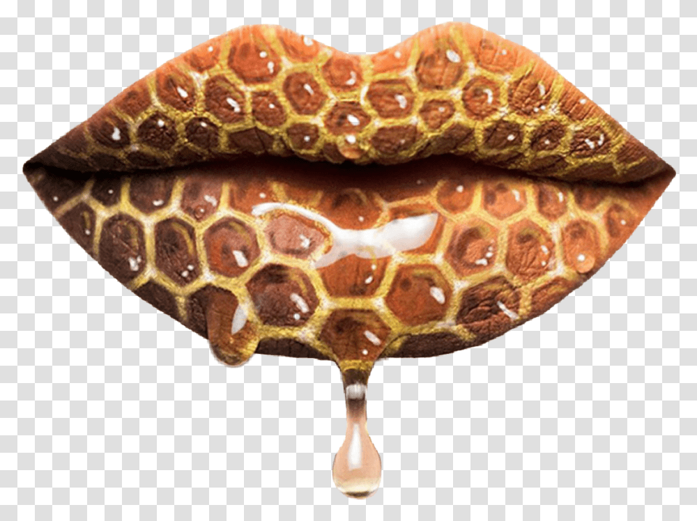 I Was Gonna Add This To The Honey Challenge But Fell Girl Grey Beauty Lipstick, Ornament, Agate, Gemstone, Jewelry Transparent Png