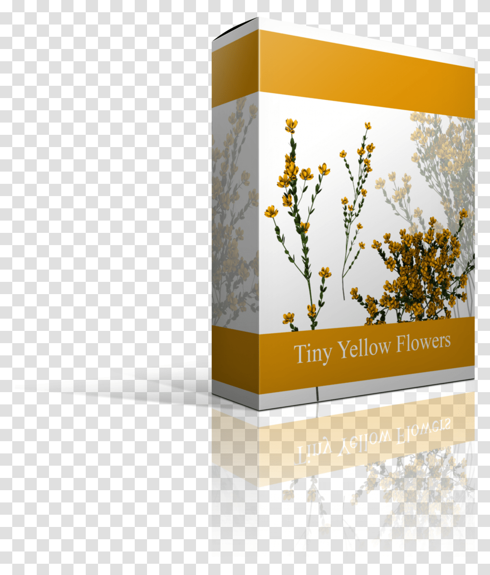 I55 W2560 Camomile, Poster, Advertisement, Flyer, Paper Transparent Png