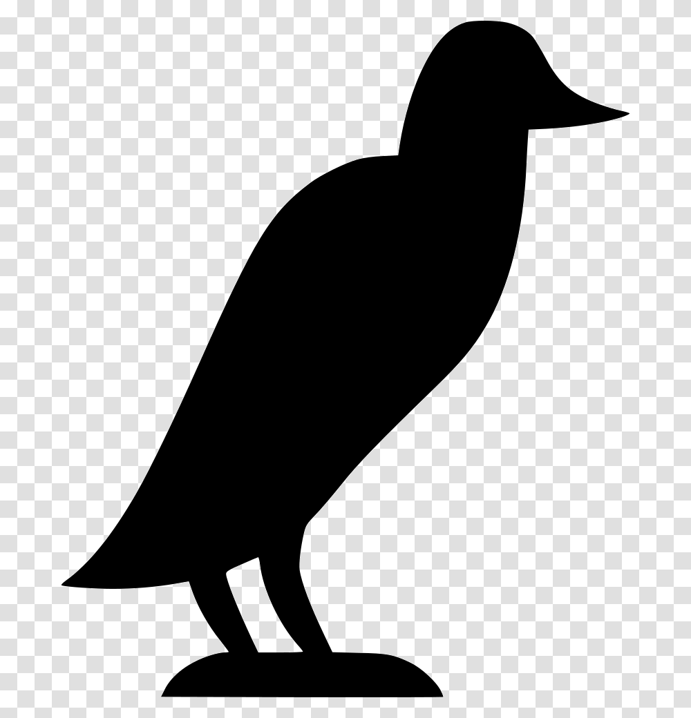 Ian Crow Duck, Silhouette, Animal, Bird, Waterfowl Transparent Png