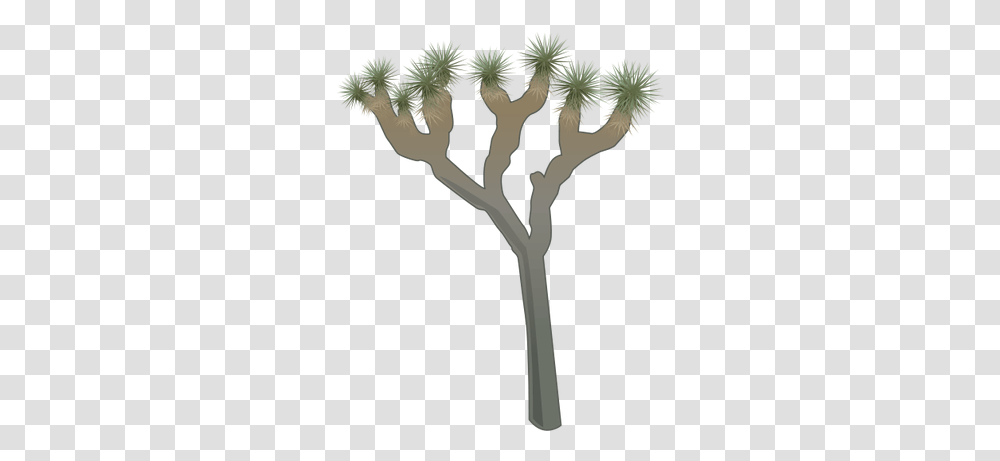 Ian Symbol Yucca Brevifolia Easy Joshua Tree Drawing, Plant, Flower, Blossom, Dandelion Transparent Png