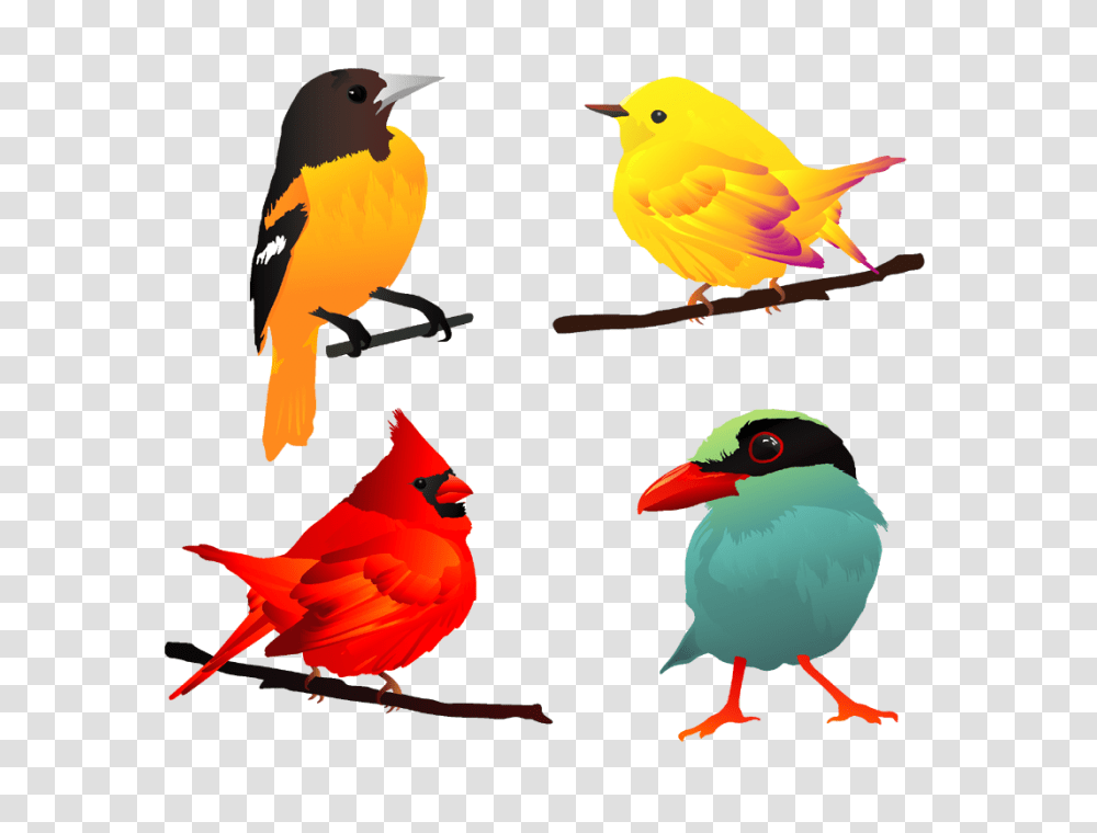 Iandeks Kartinki Poisk Pokhozhikh Kartinok Ptichki, Bird, Animal, Finch, Canary Transparent Png