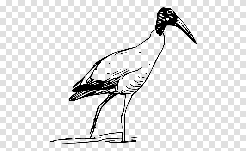 Ibis Clip Art, Stork, Bird, Animal, Crane Bird Transparent Png