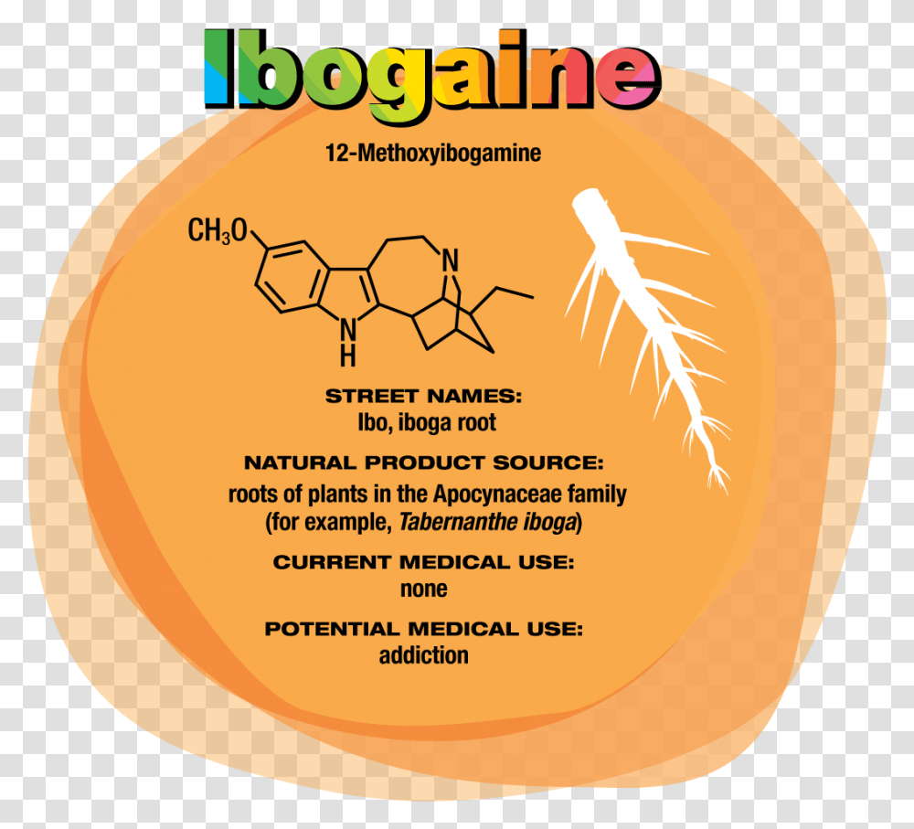 Ibogaine Drug, Plant, Food, Gold Transparent Png