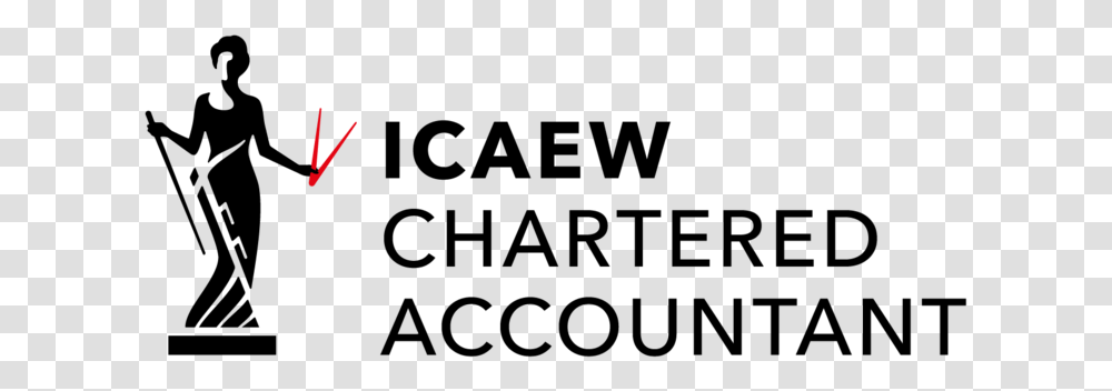 Icaew Accredited For Probate, Gray, World Of Warcraft Transparent Png