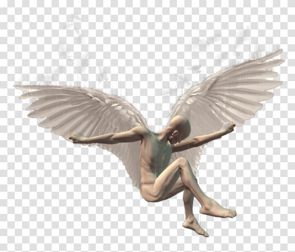 Icarus Mr Idiom Man Noface Faceless Wings Angel Background Angel Wings, Bird, Animal, Person Transparent Png