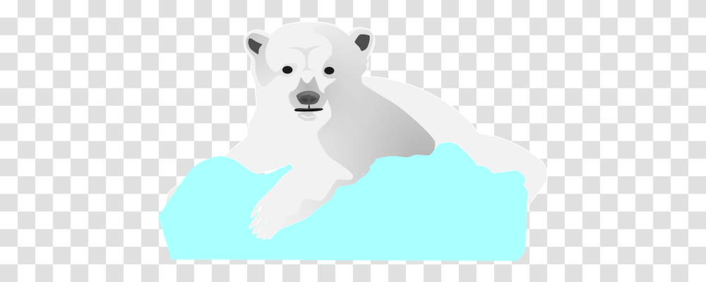 Ice Animals, Mammal, Wildlife, Bear Transparent Png