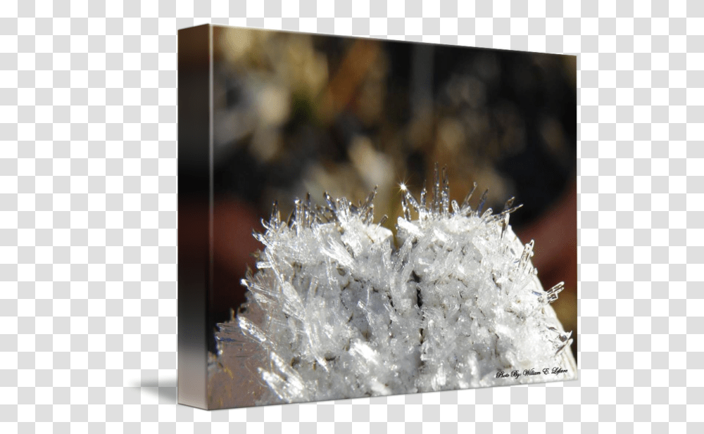 Ice Crystals By Captor Shared Frost, Mineral, Quartz Transparent Png