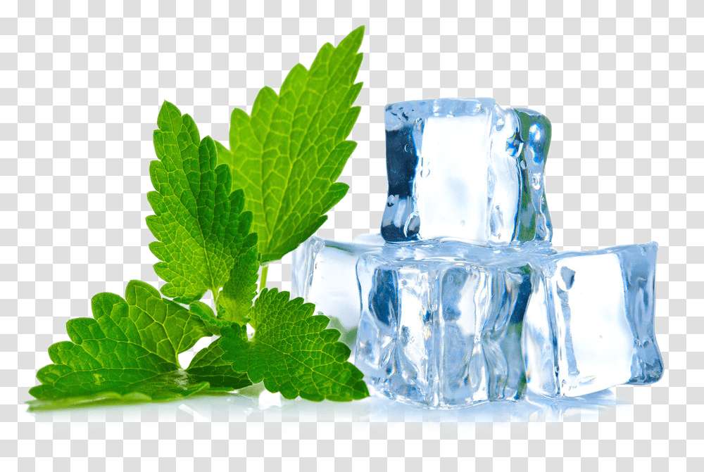 Ice Cube, Potted Plant, Vase, Jar, Pottery Transparent Png