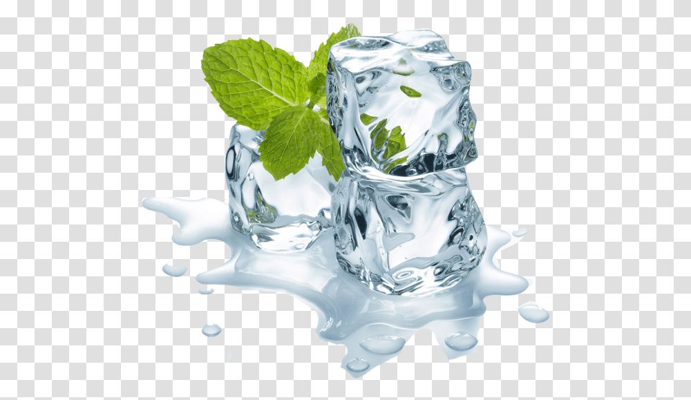 Ice Cube Water, Potted Plant, Vase, Jar, Pottery Transparent Png