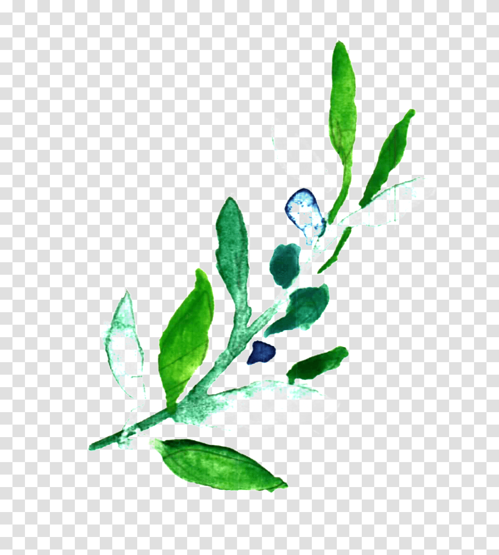 Ice Green Foliage Decorative Free Download, Plant, Leaf, Blueberry, Fruit Transparent Png
