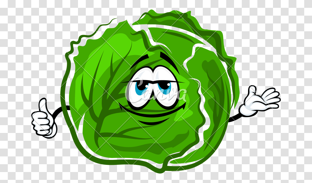 Iceberg Lettuce Cartoon Character, Plant, Vegetable, Food, Head Cabbage Transparent Png