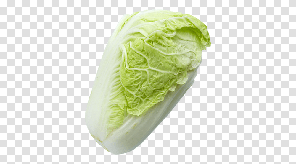 Iceburg Lettuce, Plant, Cabbage, Vegetable, Food Transparent Png