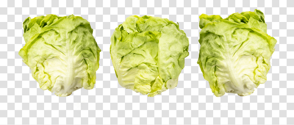 Iceburg Lettuce, Plant, Vegetable, Food, Produce Transparent Png